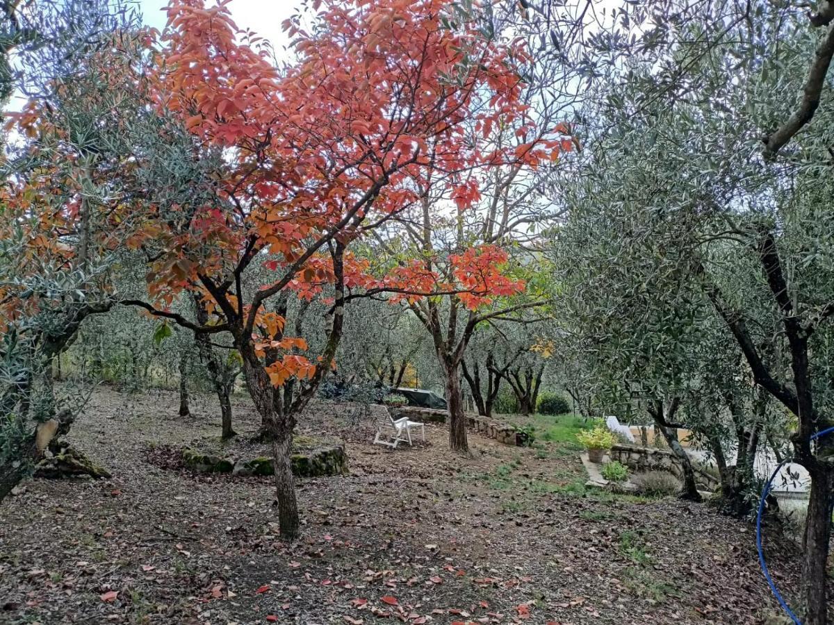 Poggio House, tranquillità e comfort nella natura San Casciano in Val di Pesa Extérieur photo
