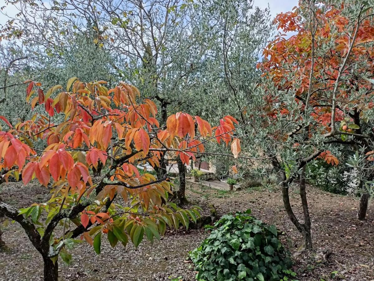Poggio House, tranquillità e comfort nella natura San Casciano in Val di Pesa Extérieur photo