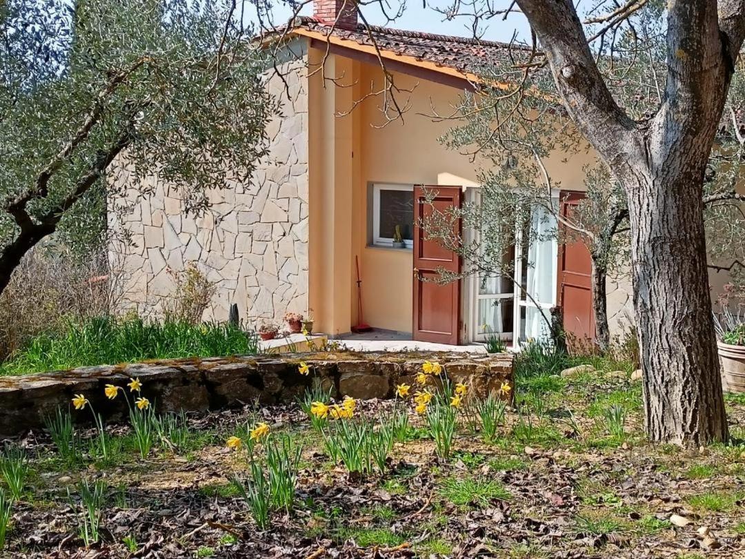 Poggio House, tranquillità e comfort nella natura San Casciano in Val di Pesa Extérieur photo