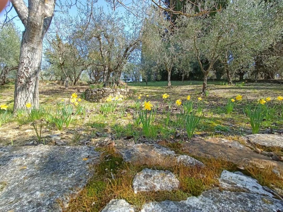 Poggio House, tranquillità e comfort nella natura San Casciano in Val di Pesa Extérieur photo