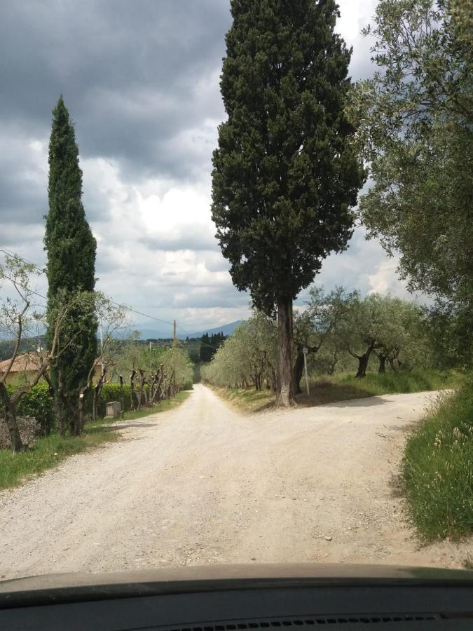 Poggio House, tranquillità e comfort nella natura San Casciano in Val di Pesa Extérieur photo